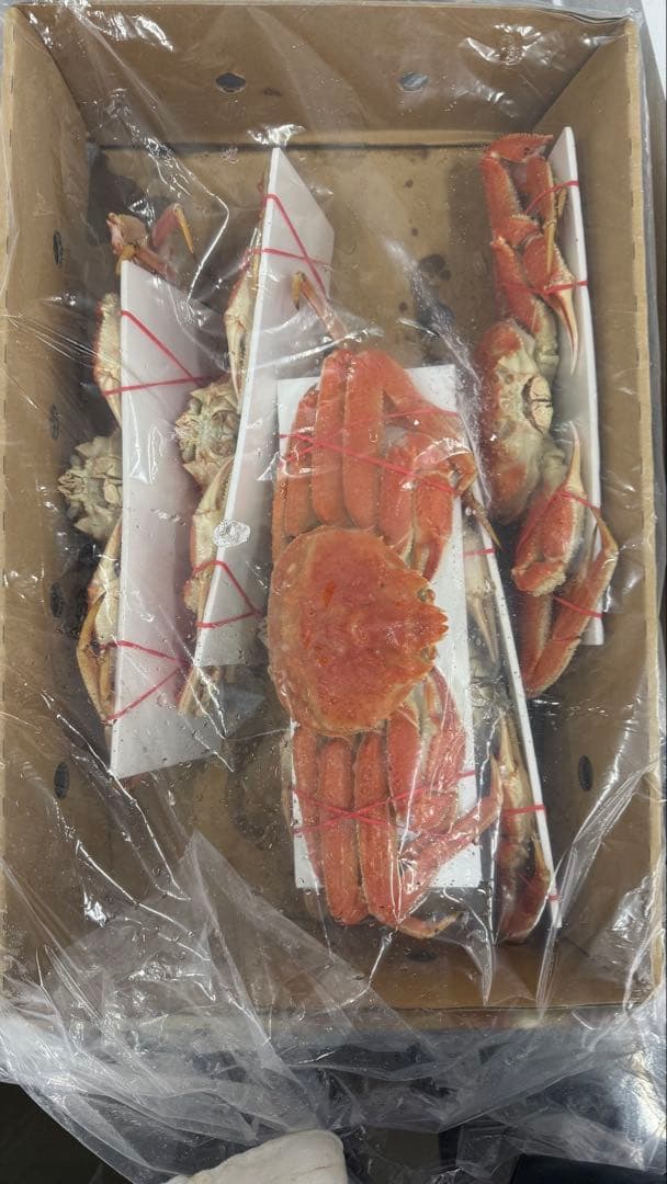 北海道産ボイルオオズワイガニ！特大！期間限定12／26まで！冷凍 3k6匹入り！