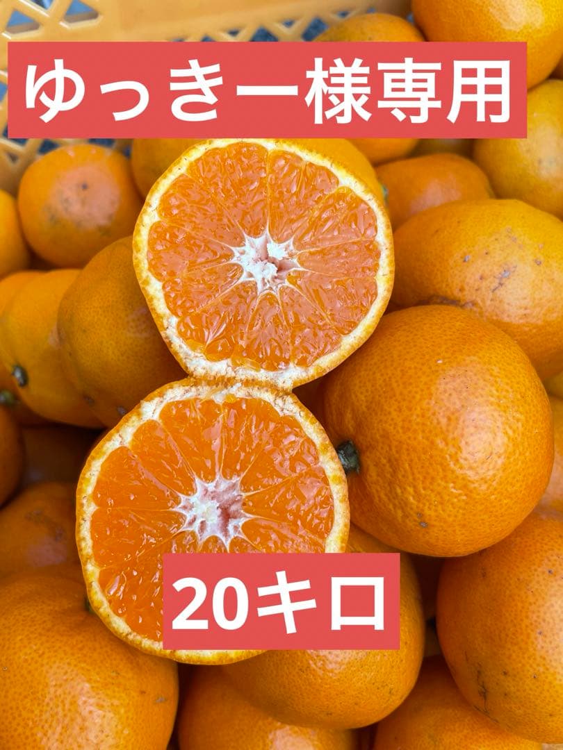 ゆっきー