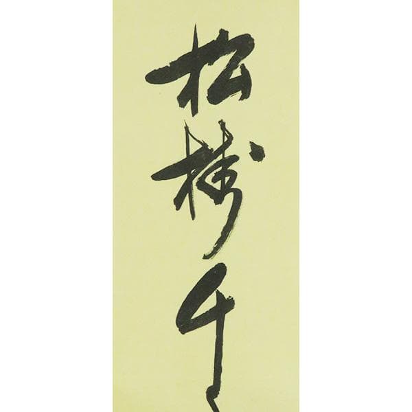 M-0008【真作】堀内宗完 肉筆紙本 松樹千年翠 共箱 掛軸/茶道家 書画