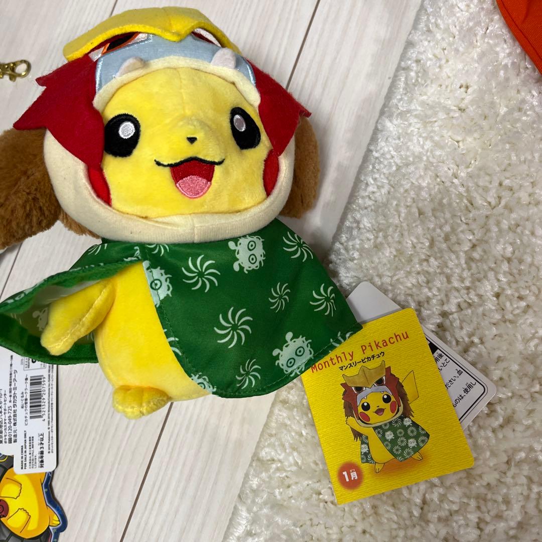 ぬいぐるみ　マンスリーピカチュウ2015、2016 9体セット