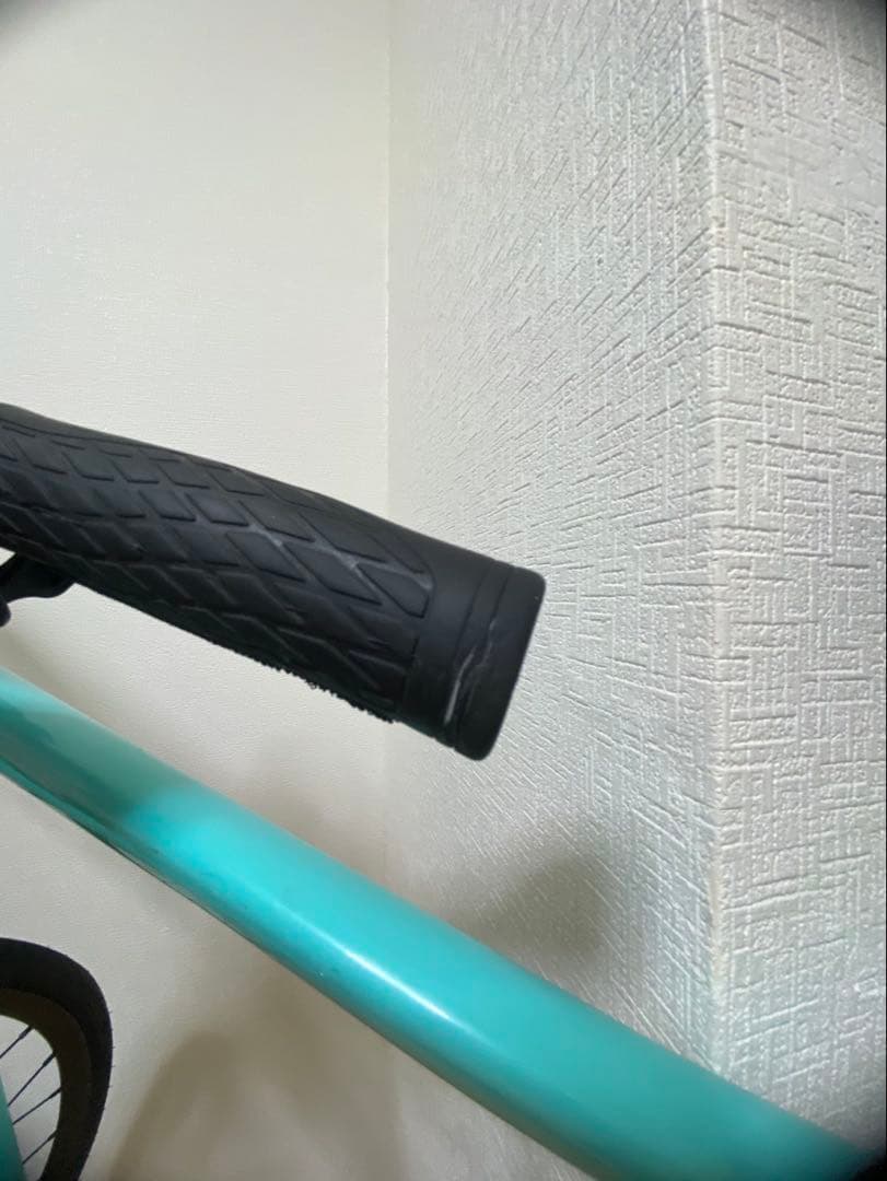Bianchi ROMA3 サイズ46cm 2021モデル