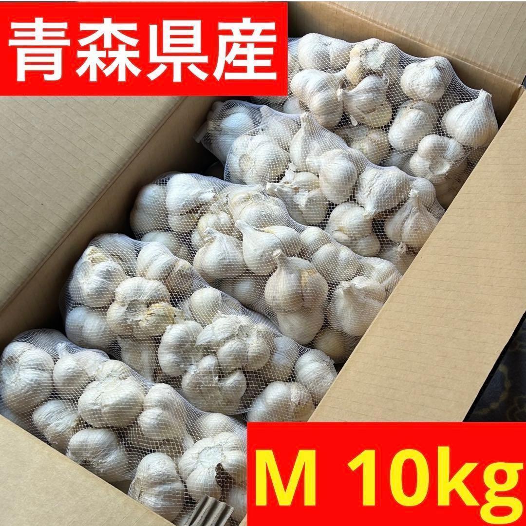 【お買い得セール】青森県 福地ホワイト にんにく M 10kg 加工 家庭用