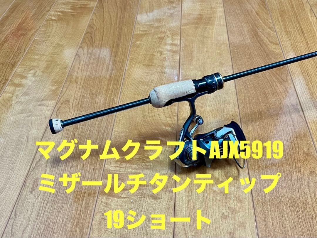 マグナムクラフト AJX5919 ミザール チタンティップ19ショート 遠投用