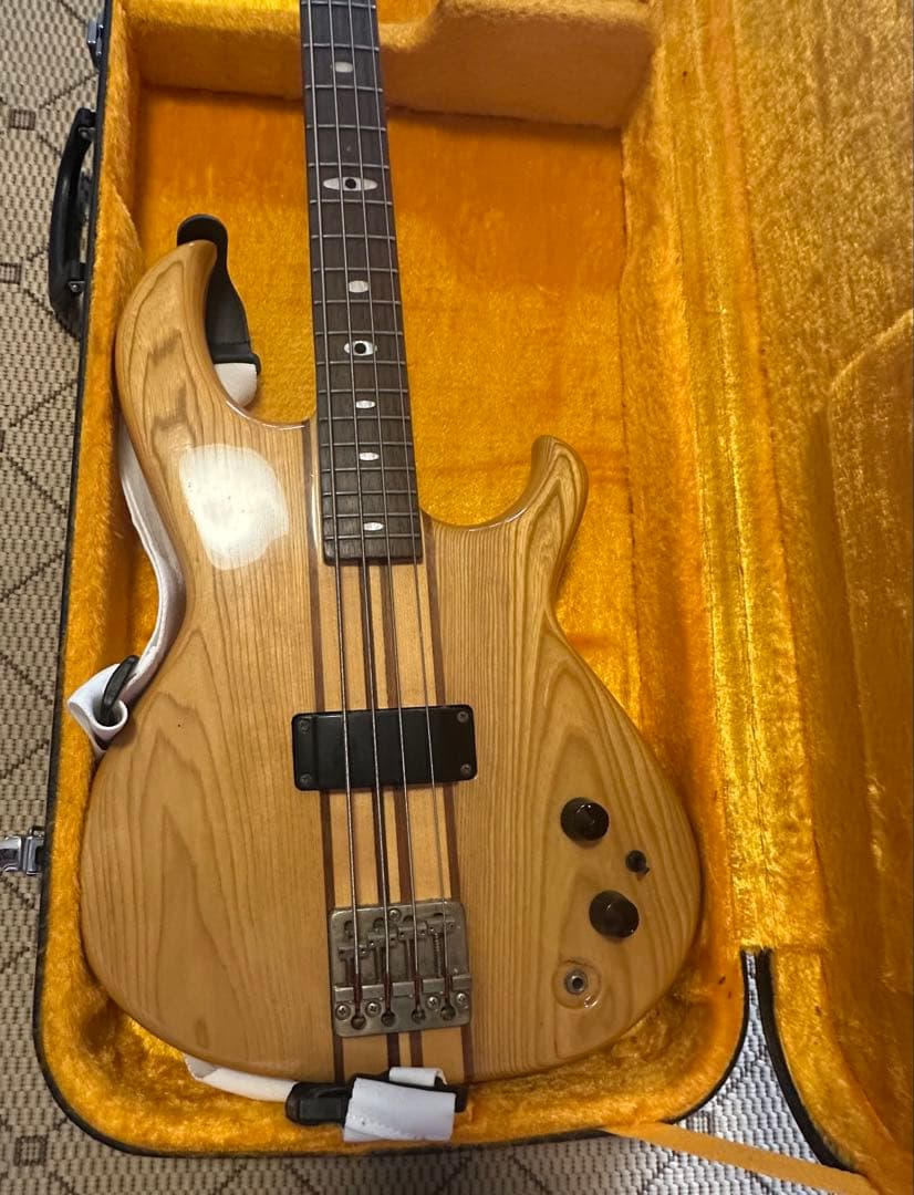 Aria Pro 2 Rsb 600 モデル