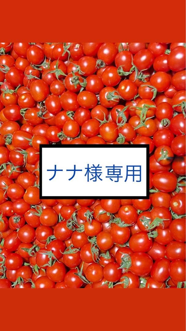 【ナナ】