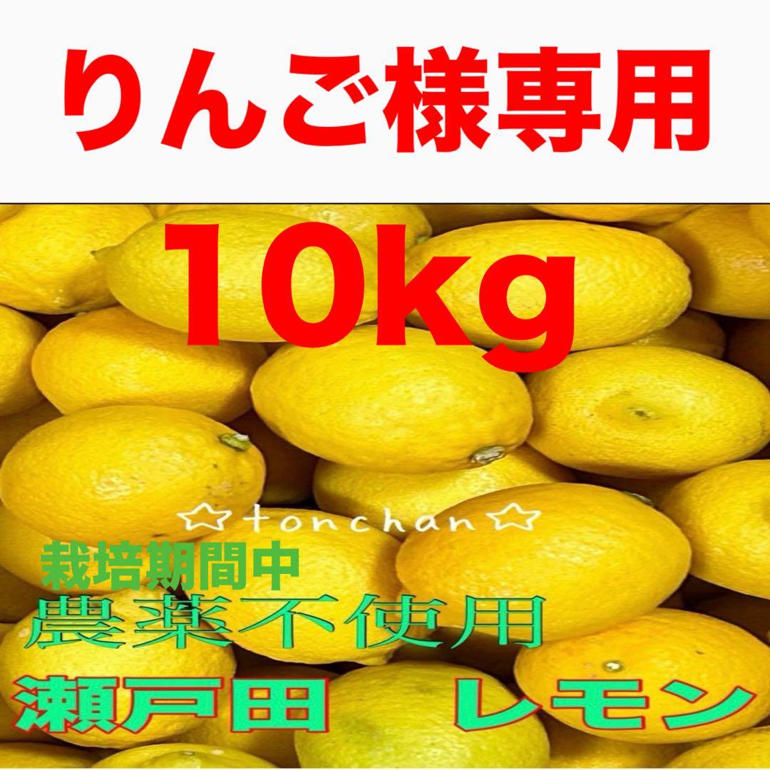 国産　瀬戸田レモン農薬不使用