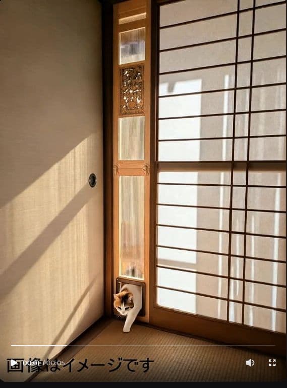 [行って帰る君]大型ペットドア ペット スルー大特価中