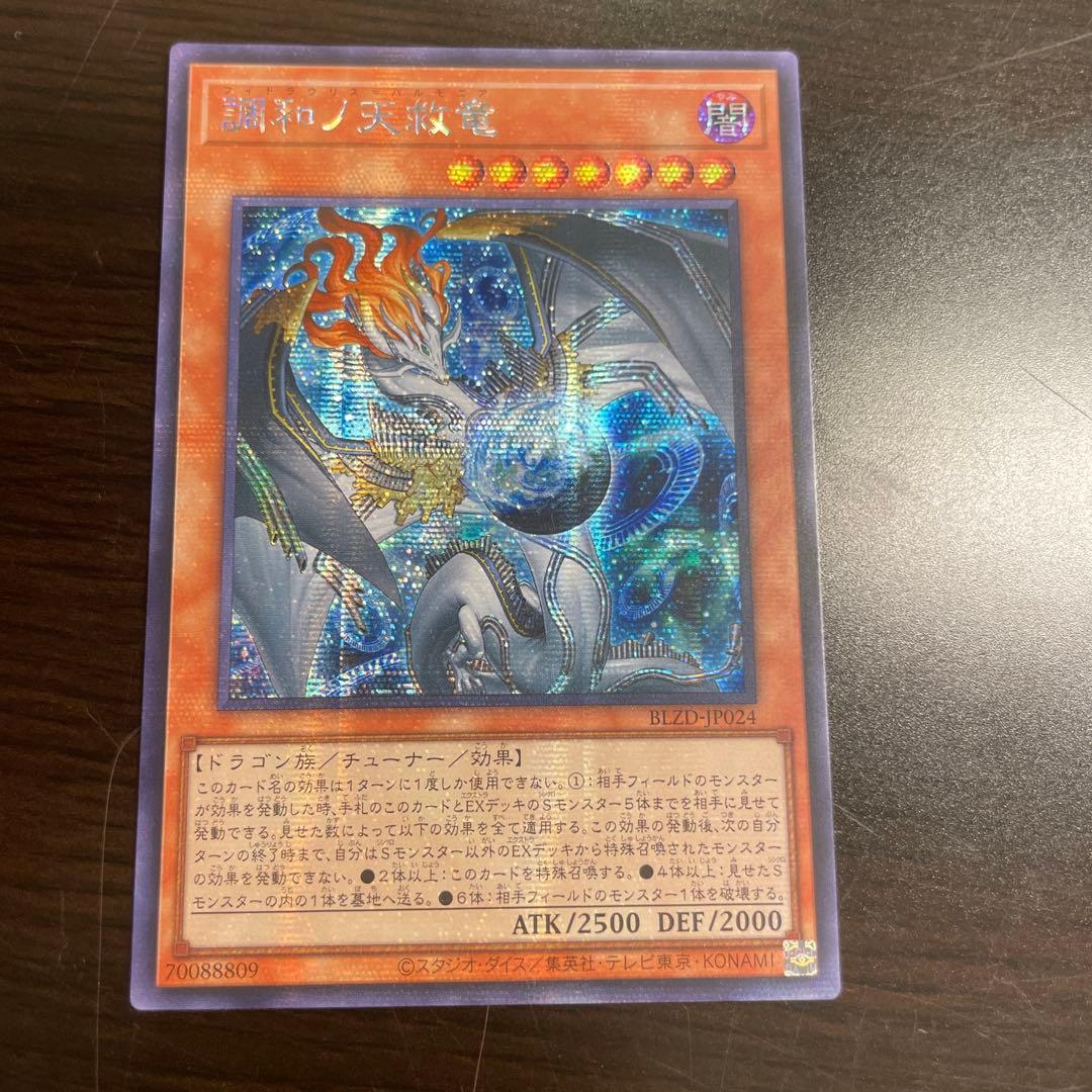 調和ノ天救竜　アジアシークレット