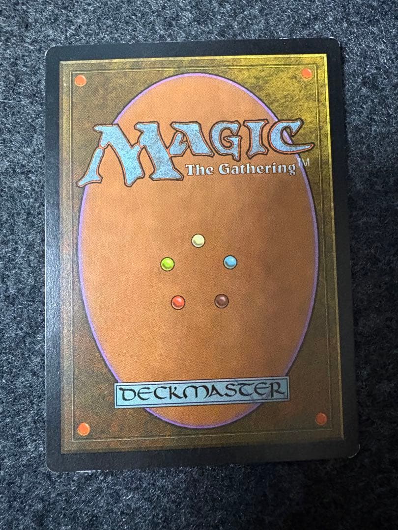 美品　MTG セラの聖域　日本語版