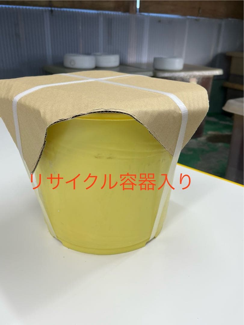 3年蔵出し熟成梅干 種抜き白干し　無選別　無添加　10kg入り