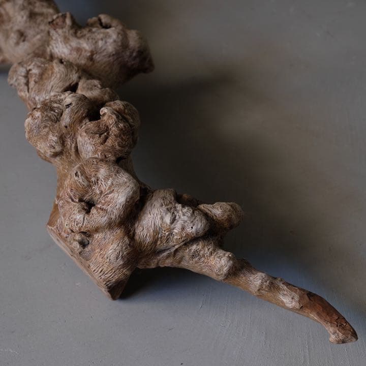 瘤杢 ワニのオブジェ 流木 古材 木製 置物 アート 芸術 アンティーク 古道具
