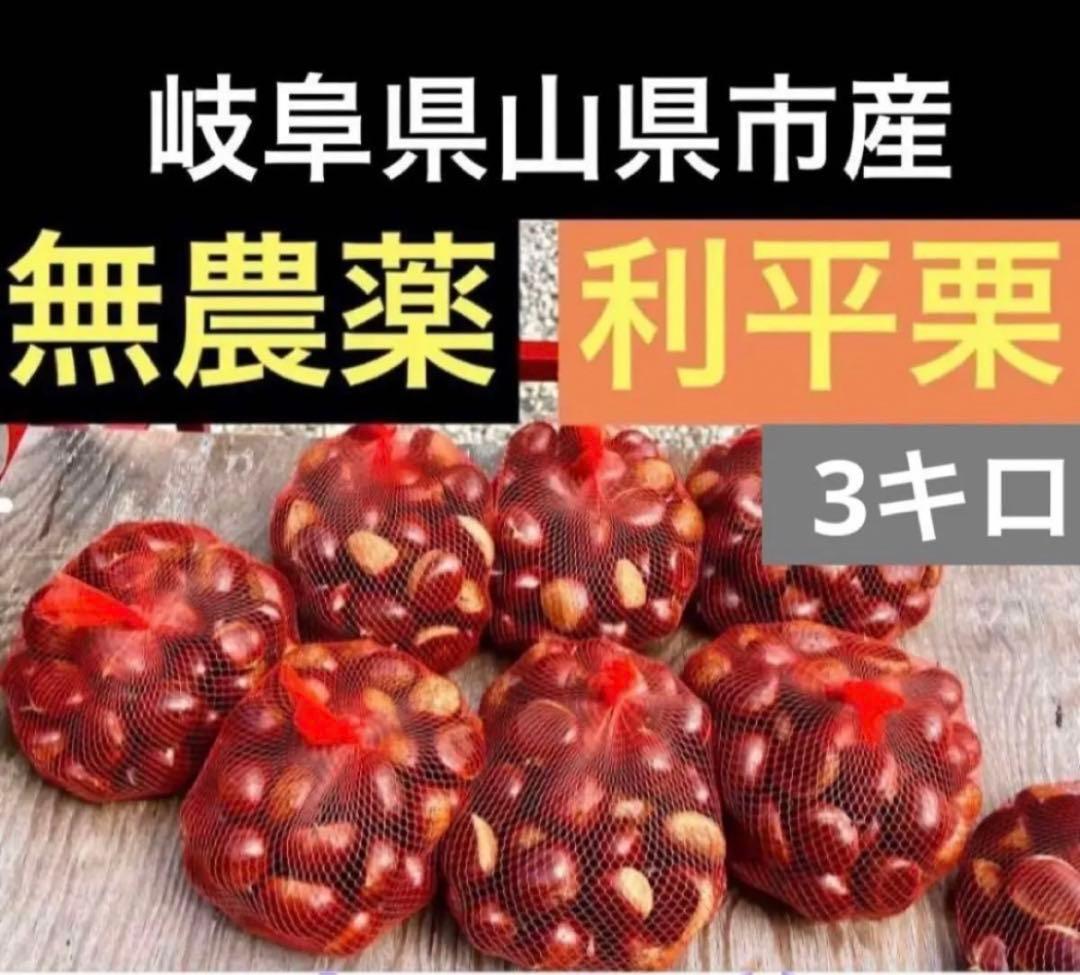 生栗　利平栗