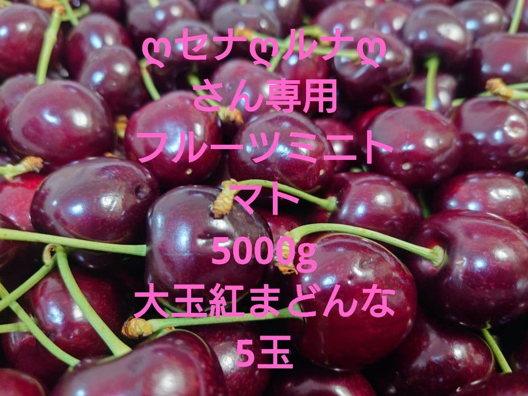 ღセナღルナღさん専用