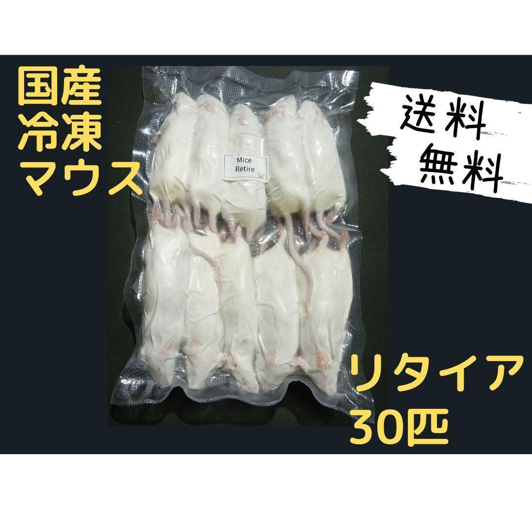 国産冷凍マウス リタイア30匹（送料無料一部地域発送不可）