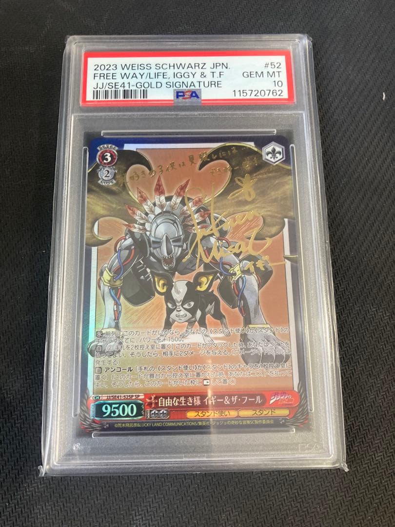 SP 自由な生き様 イギー&ザ・フール ヴァイスシュヴァルツ　psa 10