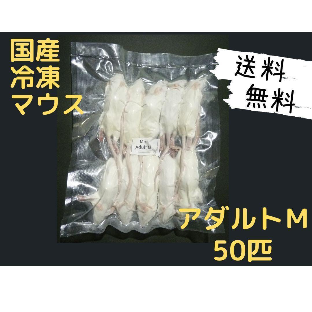 国産冷凍マウス アダルトM 50匹(一部地域発送不可)