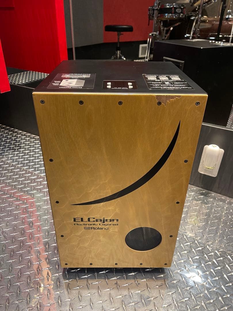 Roland 電子カホン EC-10 ケース ACアダプター付き