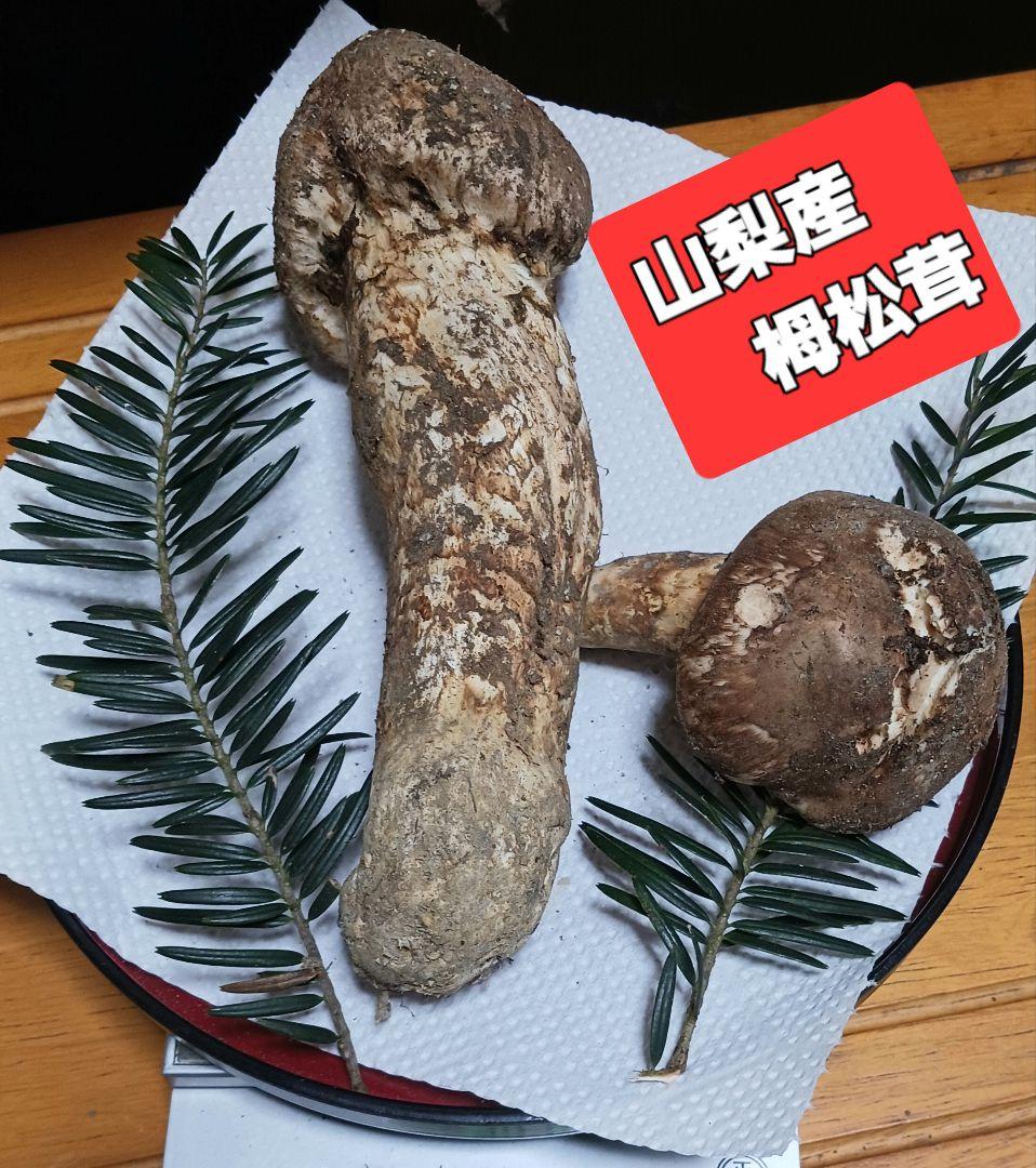 山梨産　栂松茸　極太180㌘　サービス付き