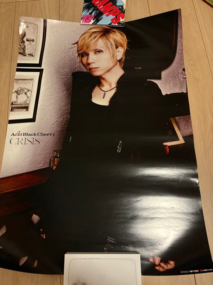 Acid Black Cherryポスター6点