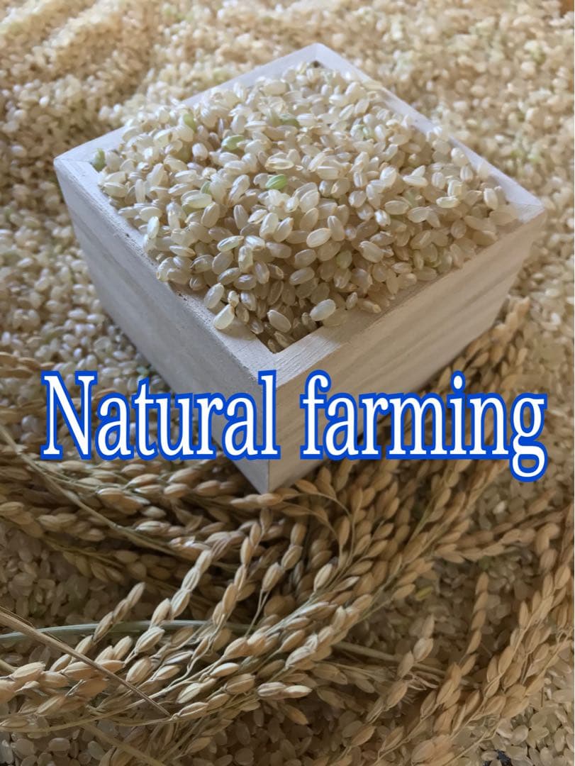 Natural farming自然栽培玄米 長岡式酵素玄米 食養ご飯 自然療法
