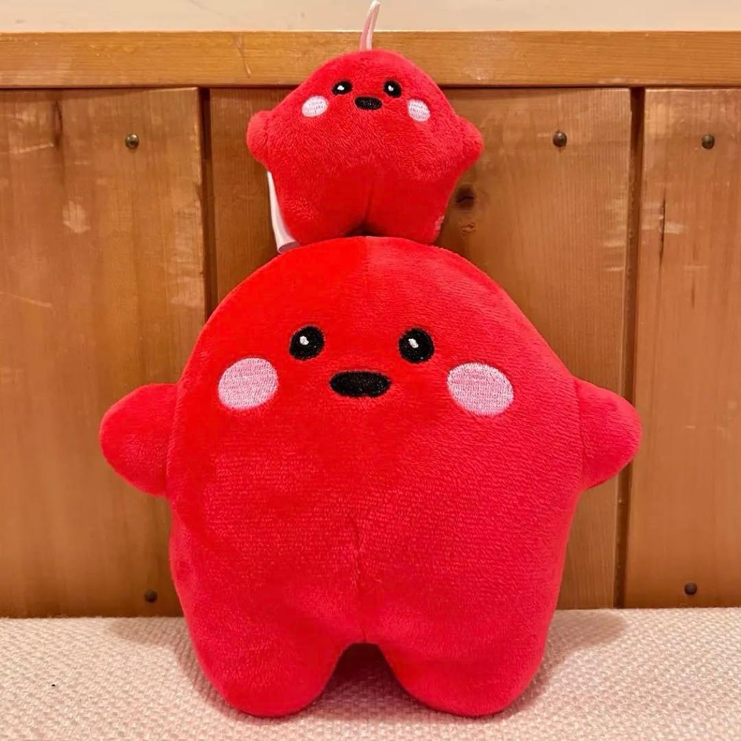 ドイツパビリオン　サーキュラー大小セット