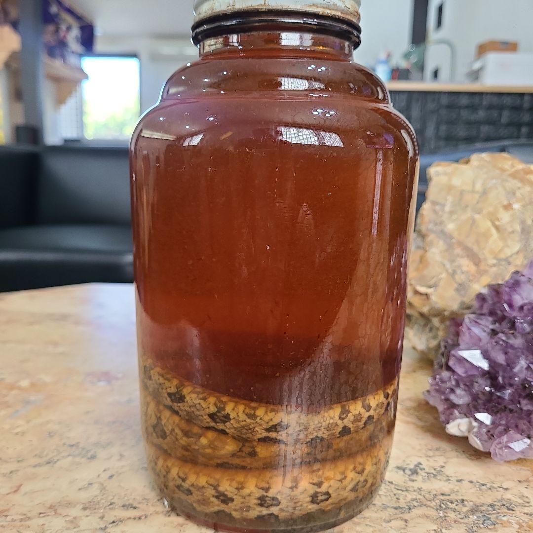 久米仙ハニーハブ酒