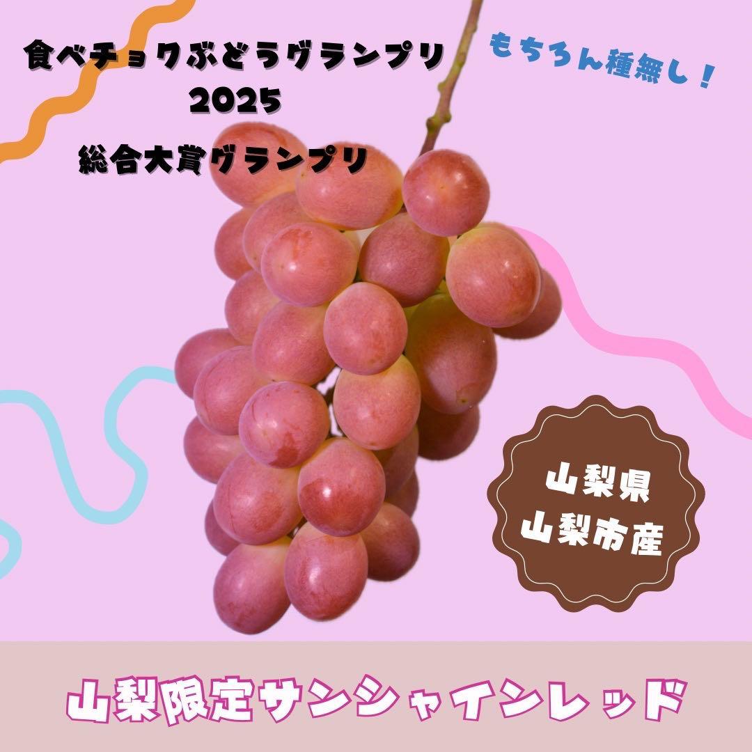 さんぽ