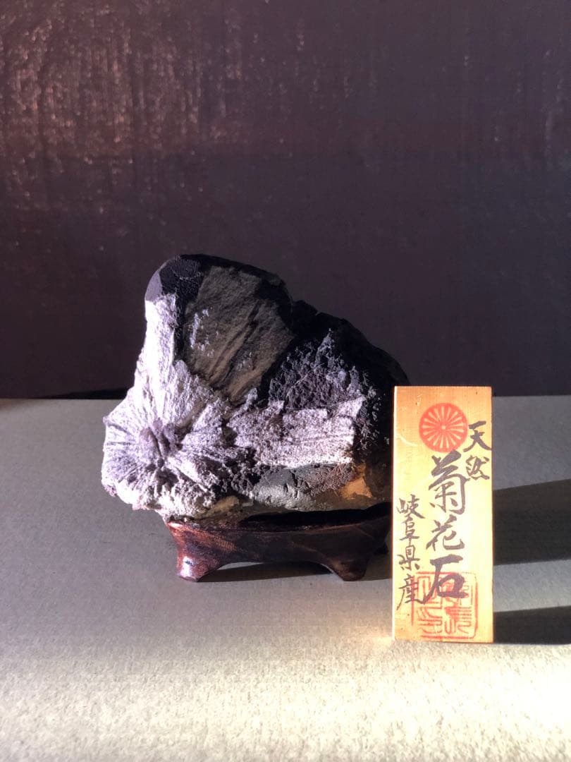 菊花石　自然石 コレクション 木製台座付き