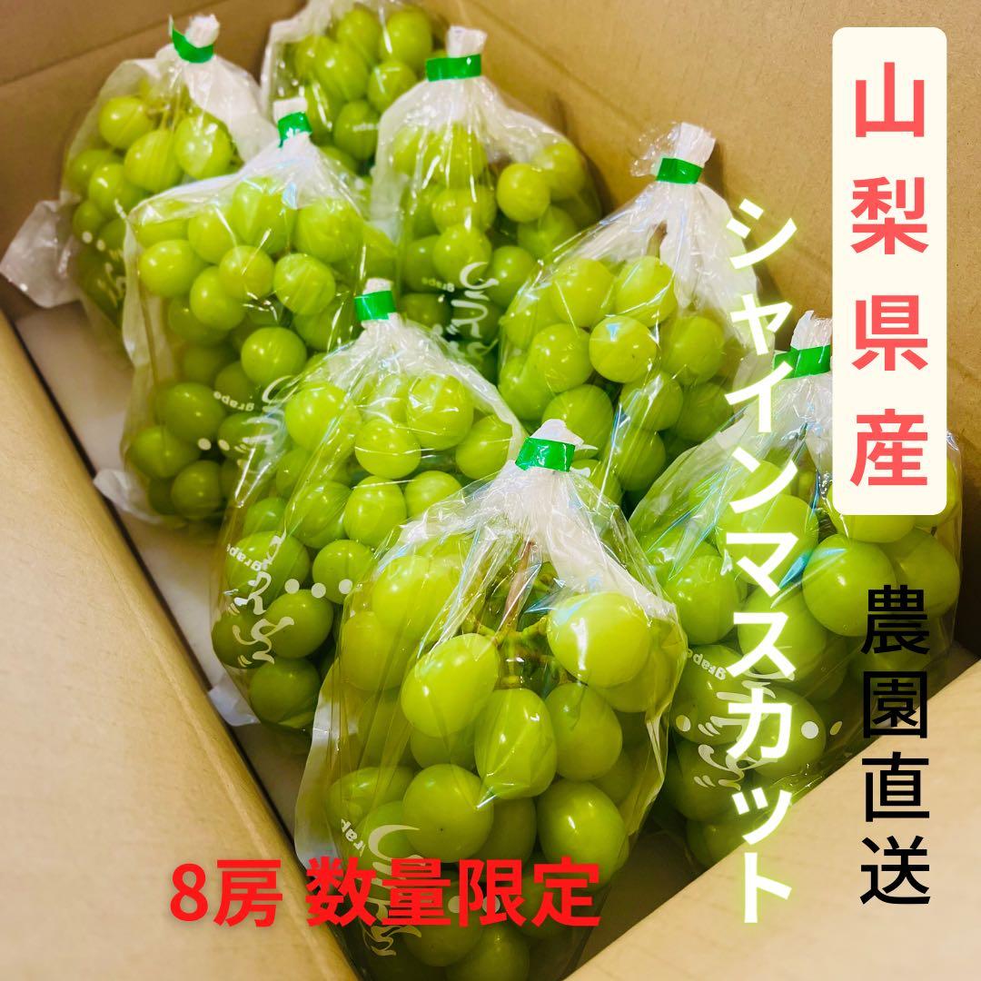【秀品 シャインマスカット8房】山梨県産シャインマスカット 化粧箱送料込