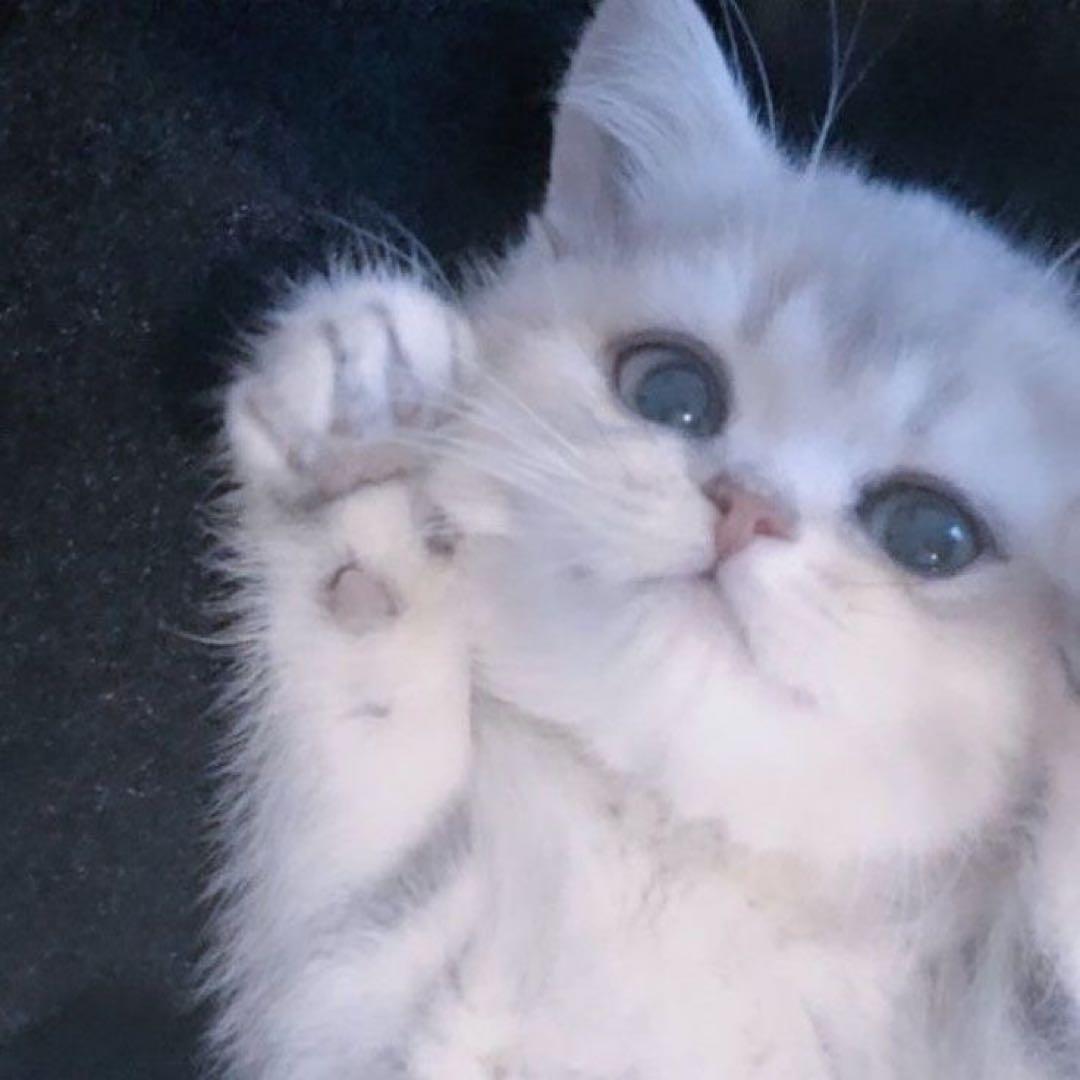 ♡