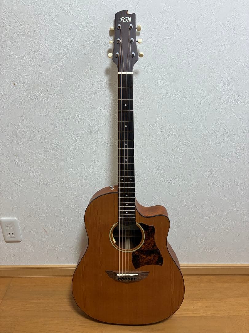 たけC　FGN AG1E