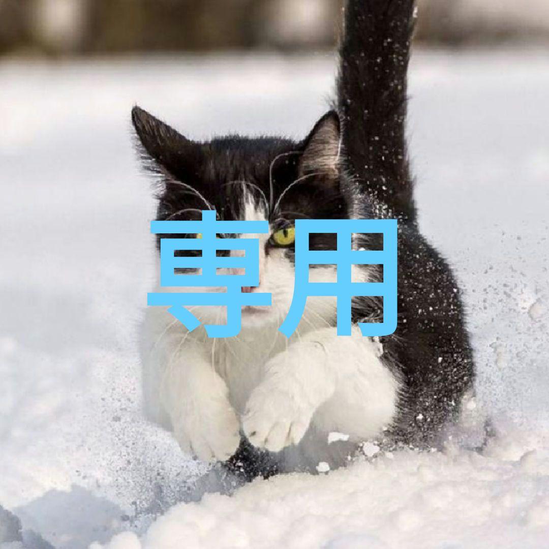 ウェア _x.w11