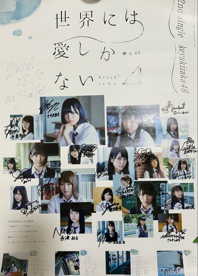 ☆*☆様 欅坂46 サイン入りポスター2枚セット