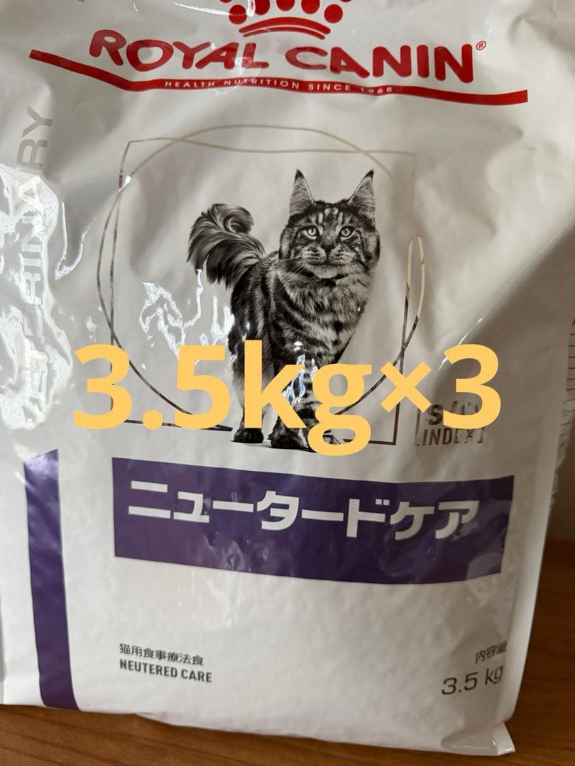 猫　ニューダードケア