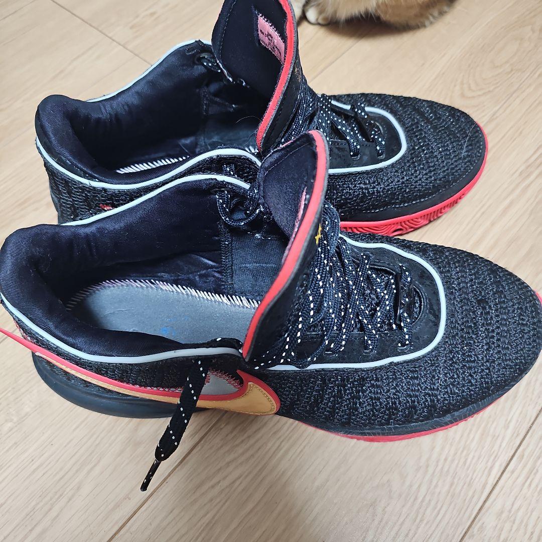 NIKE レブロン20