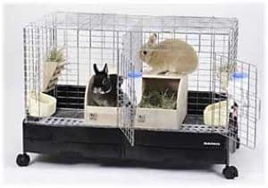 イージーホーム80 プロ　pro イージーホーム　うさぎ　ケージ　小動物　新品