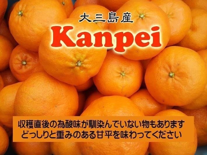 【言の葉】Gift甘平6Kg+9Kg　2か所発送