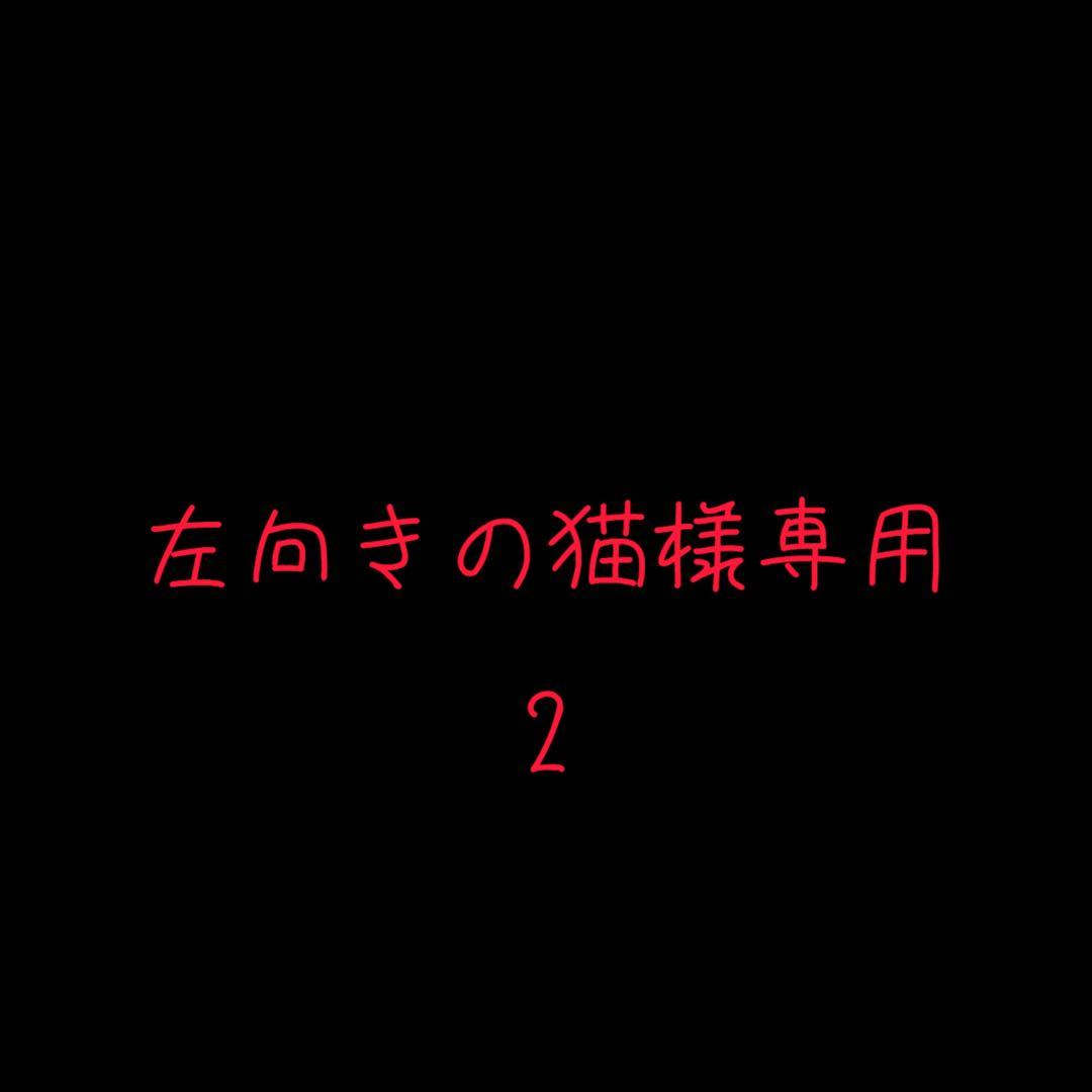 左向きの猫 ②