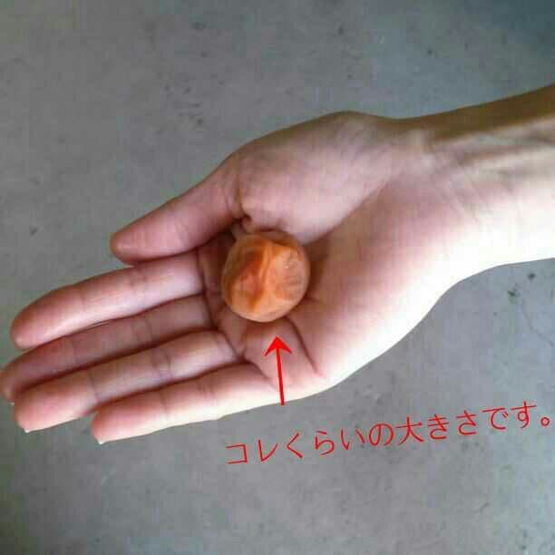 ぼーちゃん10kg 無添加 自家製 梅干し 紀州みなべの南高梅