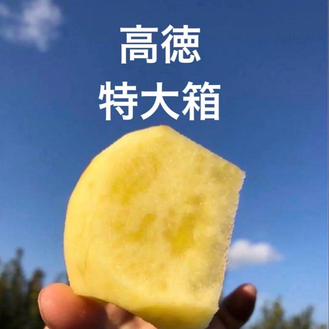 12/13発送 ■特大箱■ 幻の林檎　高徳　希少りんご　青森県産　クロネコ便