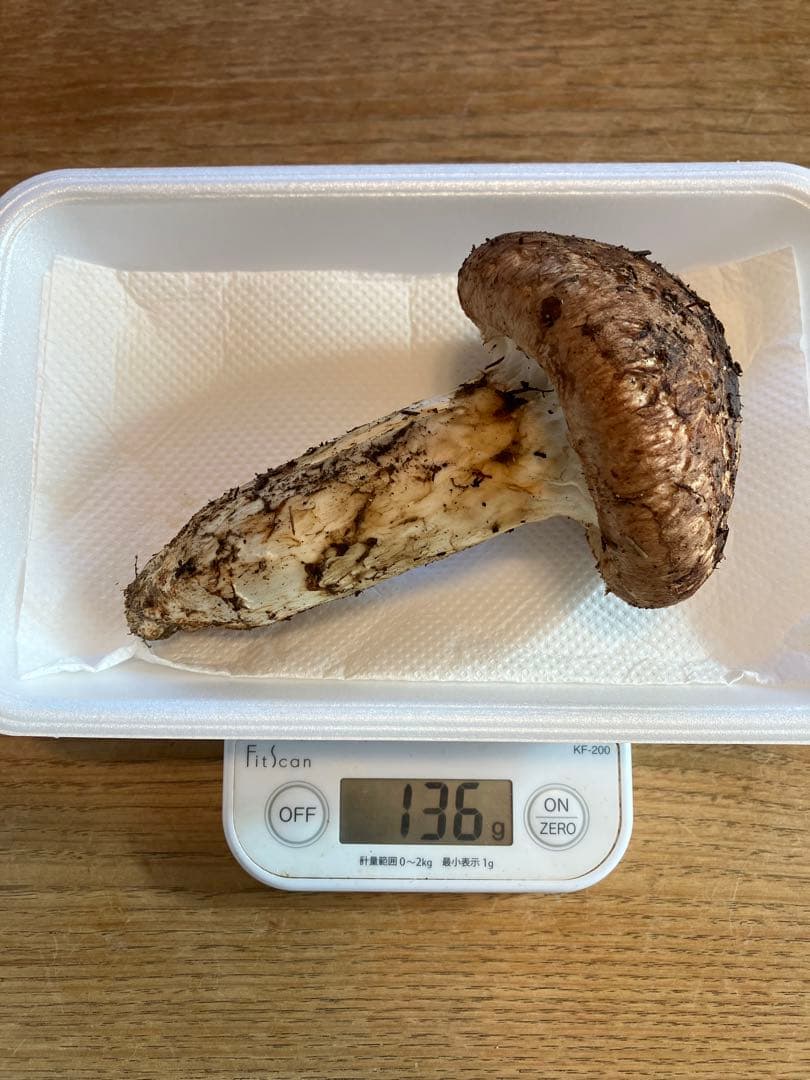 信州伊那の松茸