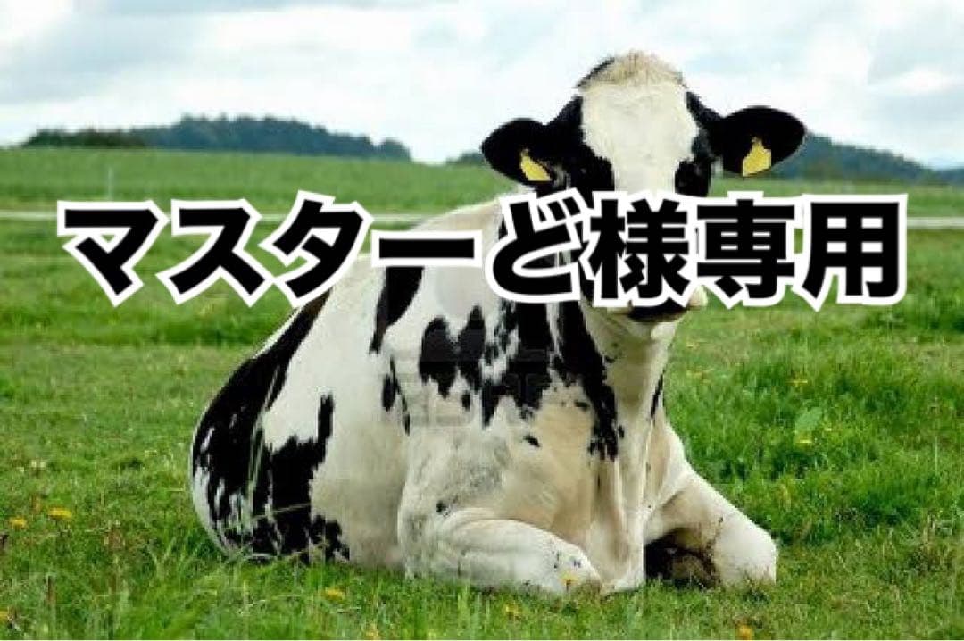 黒30、キャメル10