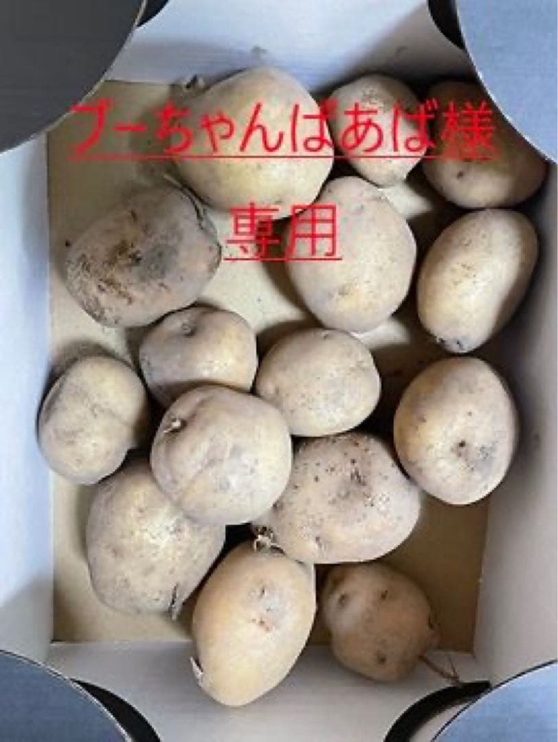ブーちゃんばあば