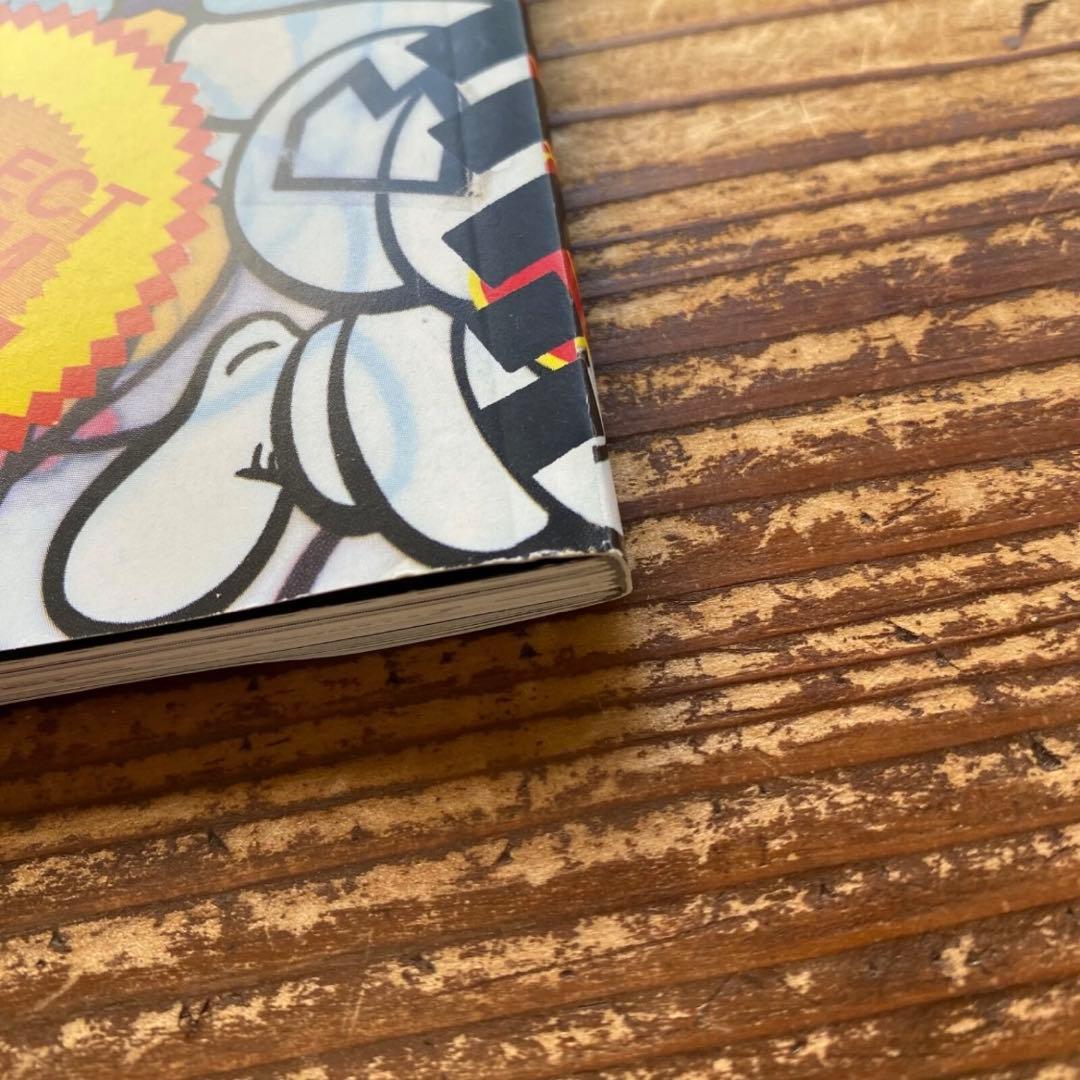 KAWS ARKITIP Magazine カウズ 1000部限定 雑誌 写真集