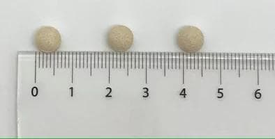 たもぎ茸 錠剤 160mg 360錠 無添加 黄金たもぎ茸 2袋セット