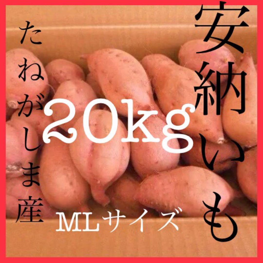 本場種子島産安納芋　MLサイズ20kgさつまいも王道 焼き芋でおやつに　#09