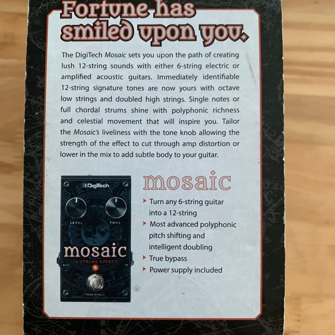 ギター Mosaic