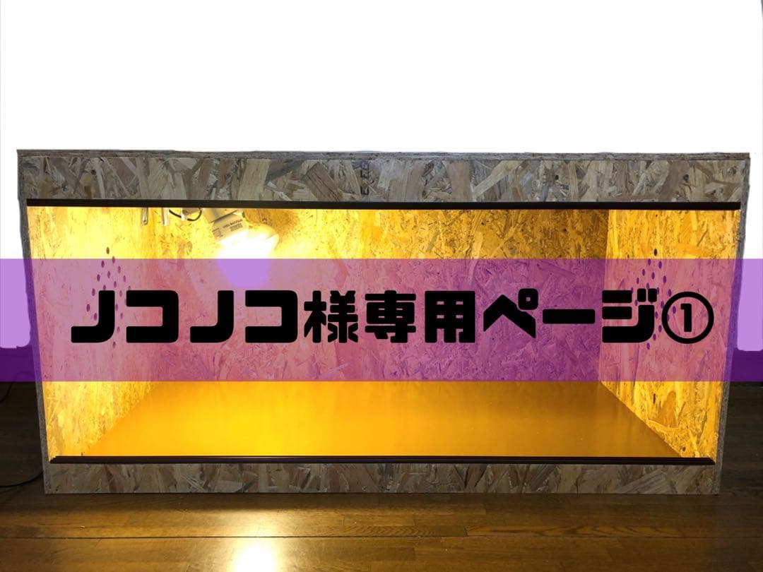 ノコノコページ①