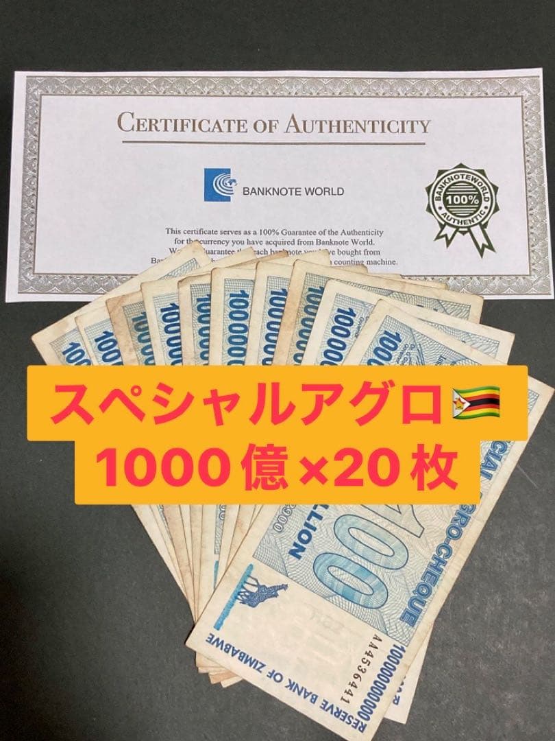 ジンバブエドル　アグロチェック　1000億ドル　２０枚