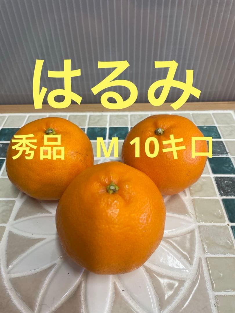 秀品　はるみ　Ｍ10キロ